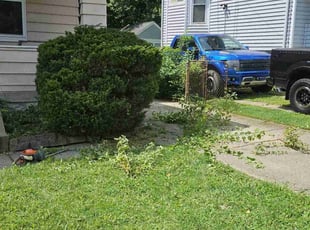 Bush Trimming by Kevin Philips for Steven R. in Cincinnati, OH