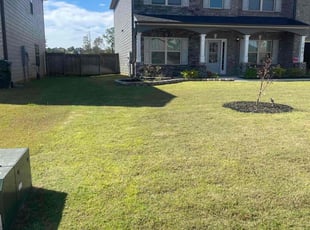 Ansley T.'s Lawn Care service result