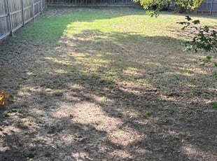 Leaf Removal by Stanislav Domashenko for Shelly P. in Fort Worth, TX