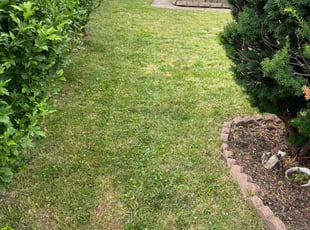 Jacqueline C.'s Lawn Care service result
