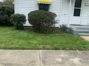 Bush Trimming by Jamel Evans for Regina M. in Richmond, VA