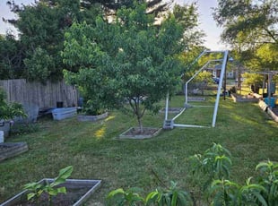 Wanda F.'s Lawn Mowing service result