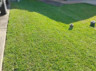 Lisa D.'s Lawn Maintenance service result