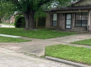 Nadeine M.'s Grass Cutting service result
