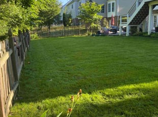 Aaron R.'s Lawn Mowing service result