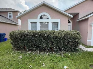 Bush Trimming by James Douglas for Jeff W. in Groveland, FL