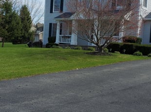 Jennifer B.'s Grass Cutting service result