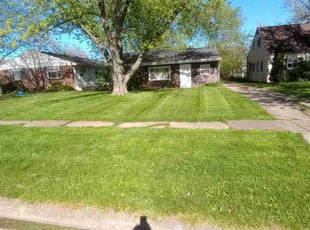Dannielle A.'s Lawn Mowing service result