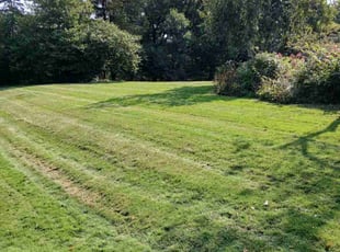 Ryan R.'s Lawn Maintenance service result
