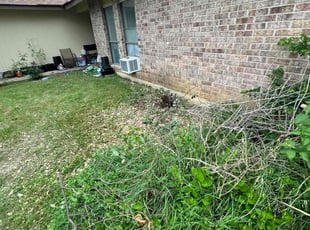Bush Trimming by Lacy Dixon for Candace S. in Converse, TX