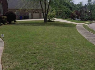 Nichole O.'s Lawn Mowing service result