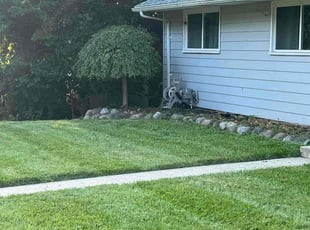 Mark W.'s Grass Cutting service result