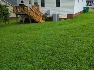 Sonia D.'s Lawn Care service result