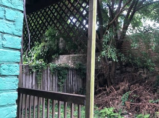 Bush Trimming by Elijah Freeman for Devin S. in Covington, KY