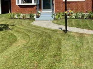 Ronald C.'s Lawn Service service result