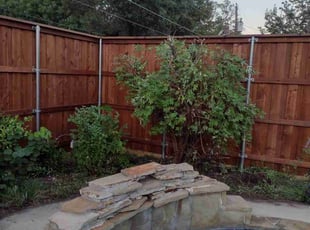 Bush Trimming by Elizabeth Cruz for Mckenzie G. in Richardson, TX