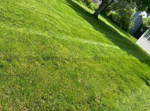 Lee M.'s Lawn Service service result