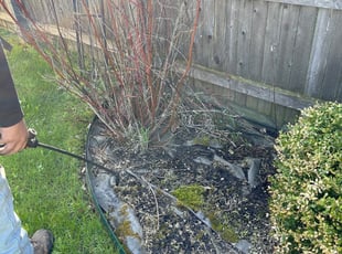 Weeding by Luis Contreras for Jeffrey C. in McCordsville, IN