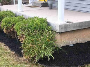 Mulching by Chris Slone for Emily C. in Louisville, KY