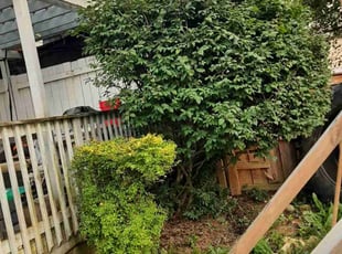 Bush Trimming by Rick Dodd for Matthew F. in Columbus, OH