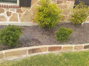 Weeding by Andrew Sweeney for Ed D. in Rockwall, TX