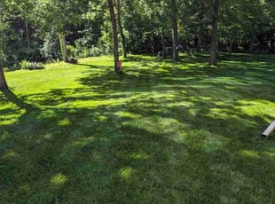 Diane M.'s Lawn Mowing service result