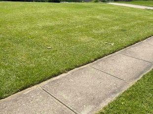 Pat N.'s Lawn Service service result
