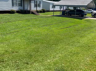 Kerri M.'s Lawn Service service result