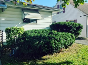 Bush Trimming by Chris Steinhour for Diane D. in Grove City, OH