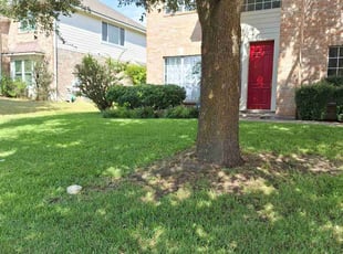 Daphyne A.'s Grass Cutting service result