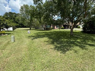 Carlyle T.'s Lawn Care service result