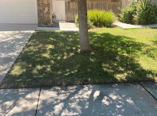 Sharon K.'s Yard Cutting service result