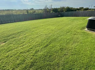 Alex W.'s Lawn Care service result