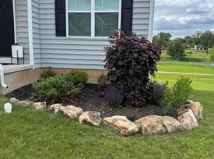Weeding by Leo Cannon for Brian D. in Trooper, PA