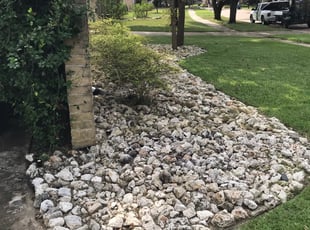 Amelia M.'s Yard Cutting service result