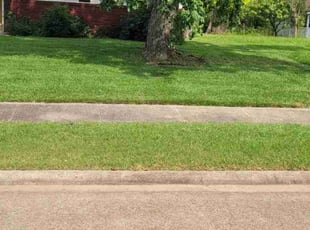 Clyde W.'s Lawn Mowing Service service result