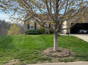 Lloyd L.'s Yard Cutting service result