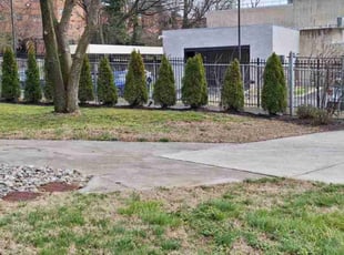 Leaf Removal by Rómulo González for Jorie J. in Washington, DC