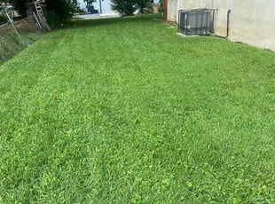 Valerie S.'s Lawn Mowing service result