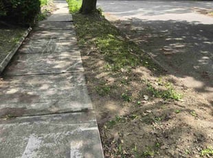 Leaf Removal by Jacob Soboski for Wynchell N. in Erie, PA