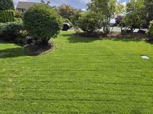 Dustin S.'s Lawn Service service result