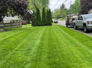 Don P.'s Lawn Service service result