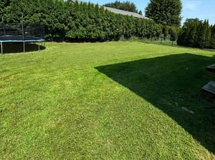 Maisoun H.'s Lawn Care service result
