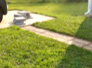 Florence R.'s Lawn Maintenance service result