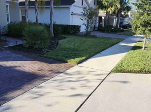 Delmaris R.'s Lawn Service service result