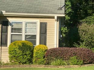Bush Trimming by Conner Meadows for Alisa D. in Buford, GA