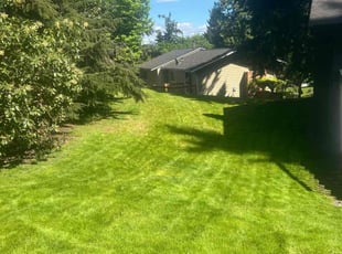 Takashi M.'s Lawn Mowing service result