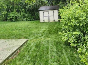 Isys A.'s Lawn Service service result