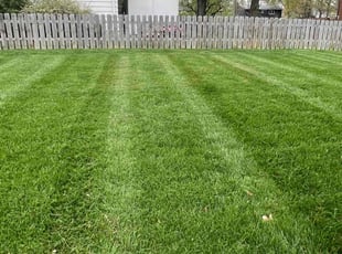 Martha K.'s Lawn Mowing service result