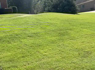 Rick F.'s Lawn Service service result
